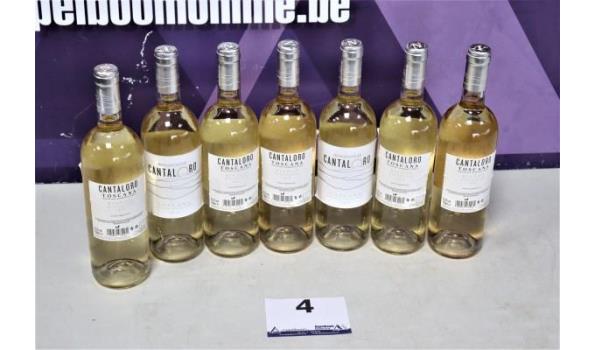 7 flessen biologische witte wijn CANTALORO Toscana 2018